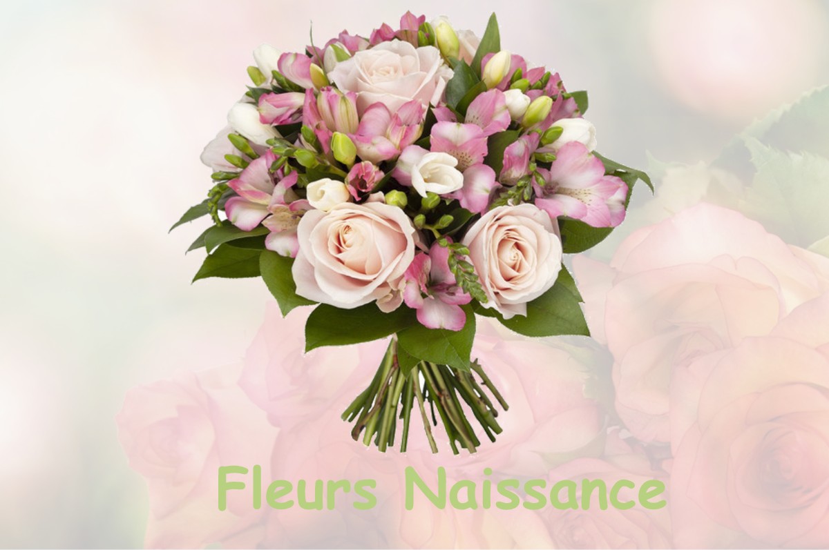 fleurs naissance SAINT-MAURICE-NAVACELLES