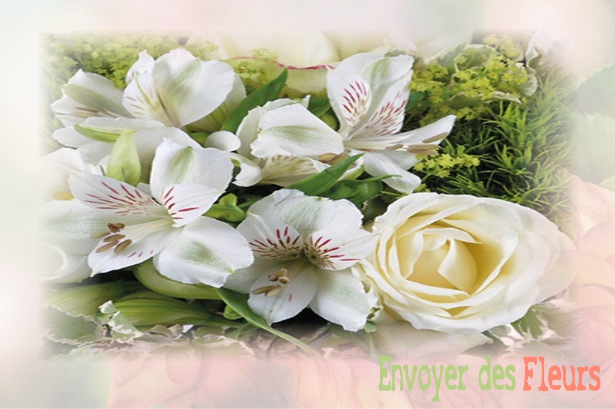 envoyer des fleurs à à SAINT-MAURICE-NAVACELLES